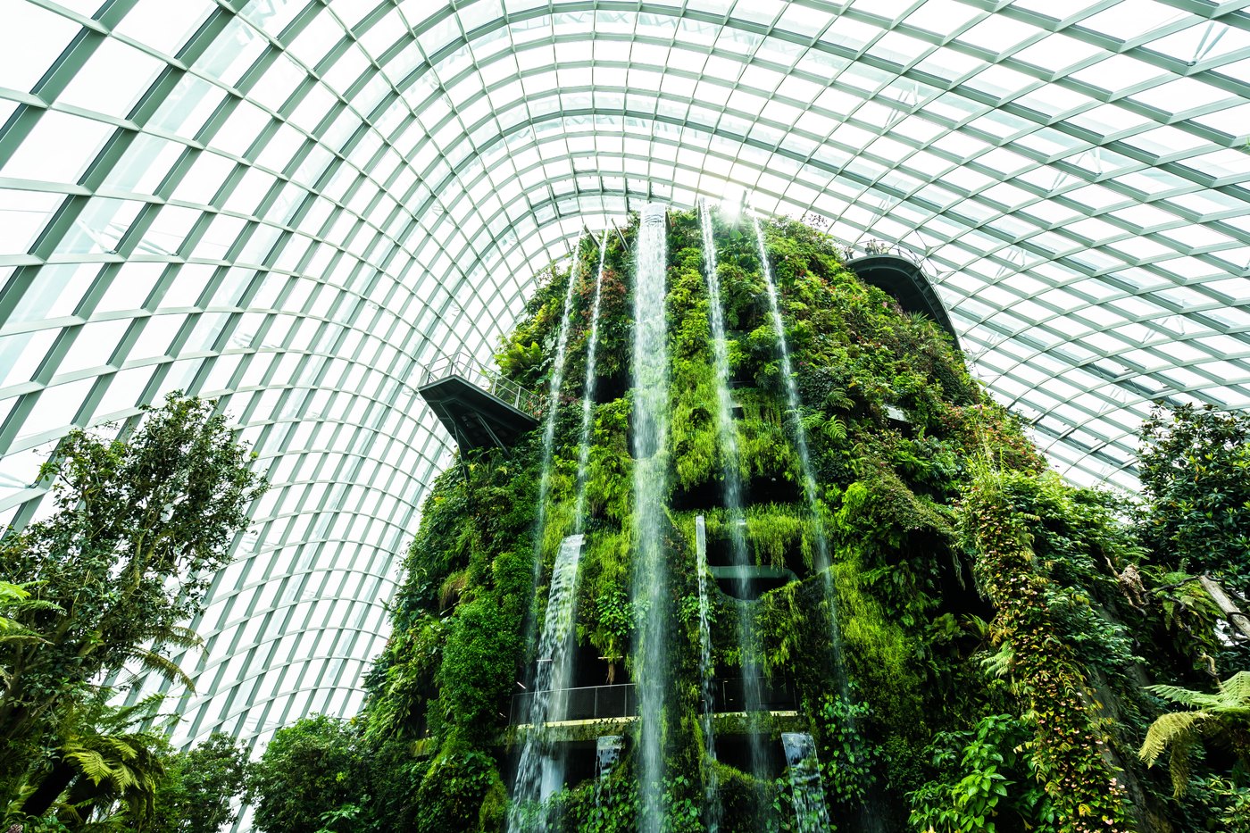 SGEM Vienna Green